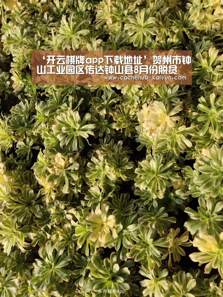 ‘开云棋牌app下载地址’贺州市钟山工业园区传达钟山县8月份脱贫攻坚工作推进会暨整改工作领导小组第二次会议精神(图4) 开云棋牌app下载地址