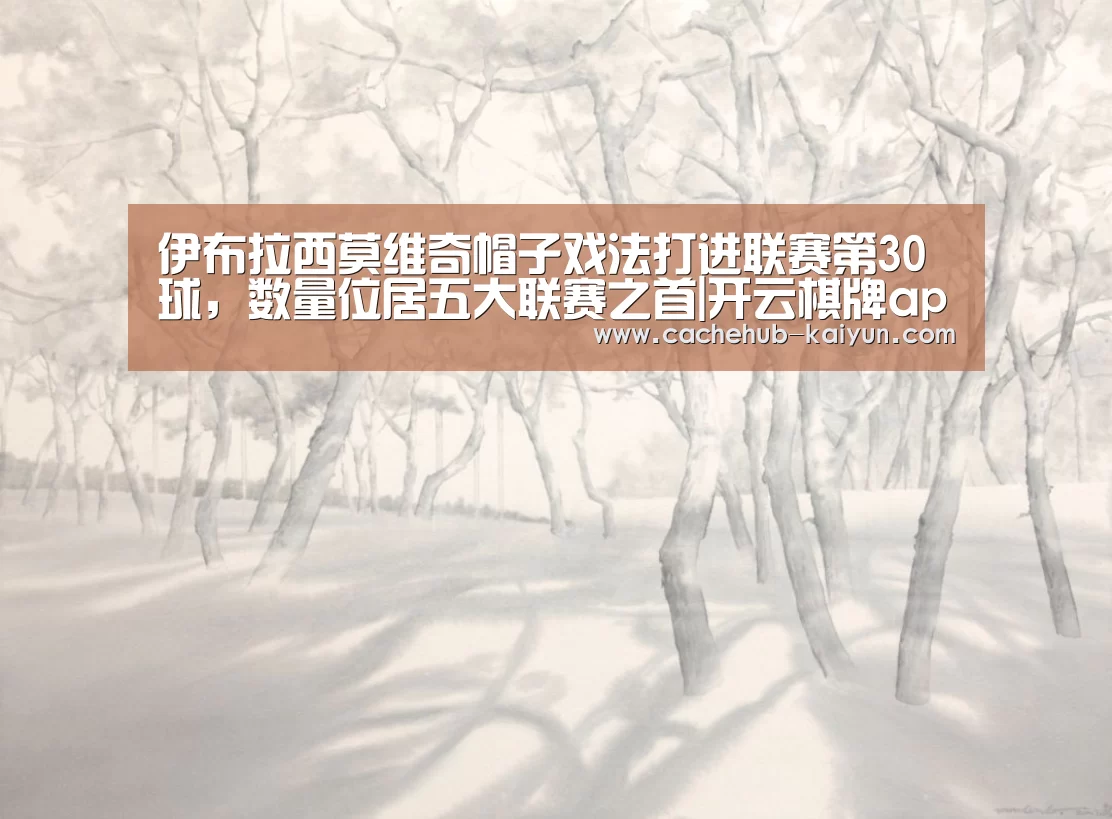伊布拉西莫维奇帽子戏法打进联赛第30球,数量位居五大联赛之首|开云棋牌app下载地址(图2) 开元棋牌app