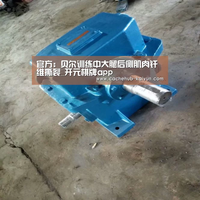 官方：贝尔训练中大腿后侧肌肉纤维撕裂_开元棋牌app