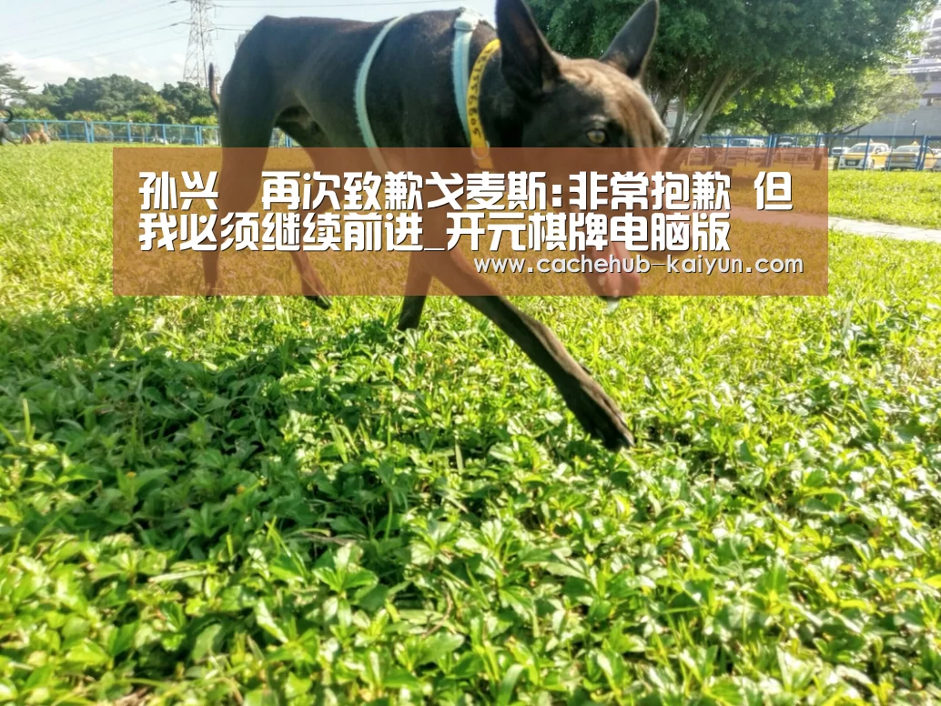 孙兴慜再次致歉戈麦斯:非常抱歉 但我必须继续前进_开元棋牌电脑版(图1) 开元棋牌app